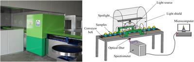 Establishment of online deep learning model for insect-affected pests in “Yali” pears based on visible-near-infrared spectroscopy